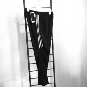 Adidas Training Pant